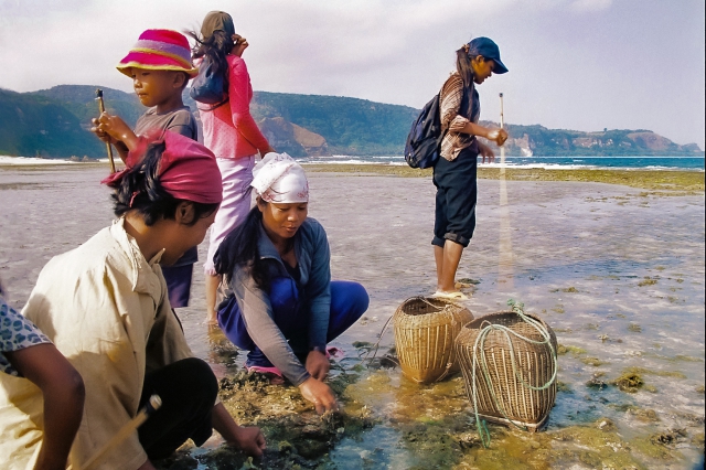Gleaning for shellfish by the seashore